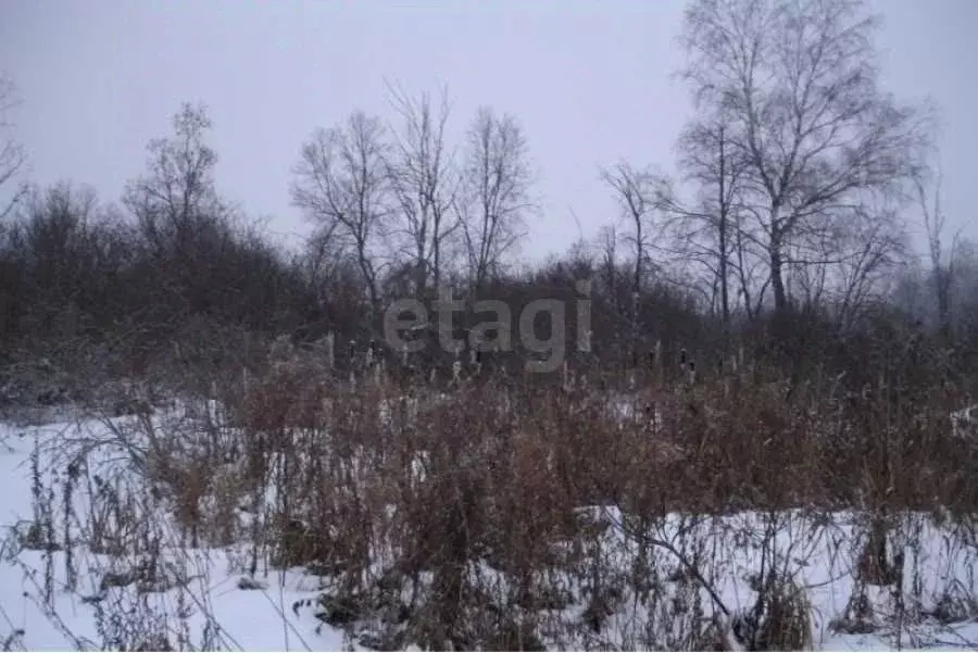 Участок в Амурская область, Благовещенск Бархат тер.,  (5.6 сот.) - Фото 1