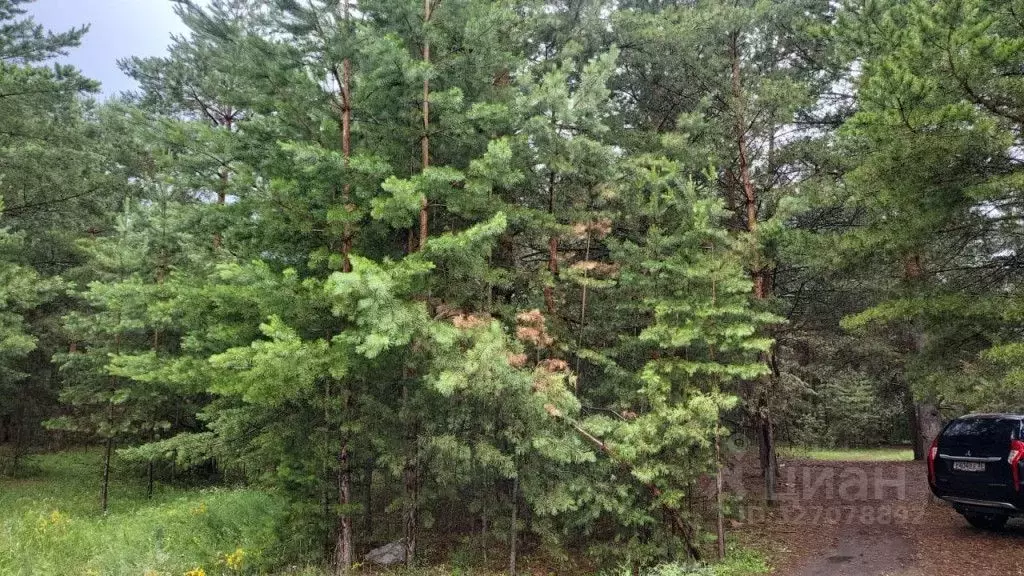 Участок в Воронежская область, Воронеж пер. 3-й Шиловский (8.0 сот.) - Фото 2