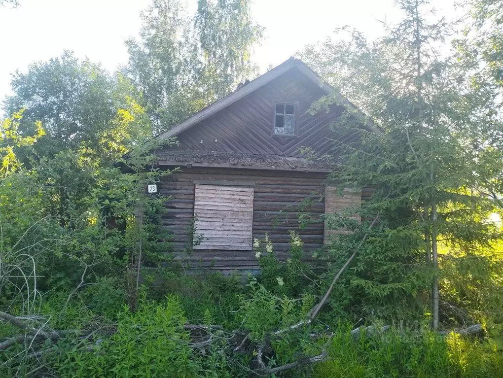 Участок в Вологодская область, Бабаево Интернациональная ул. (8.0 ... - Фото 0