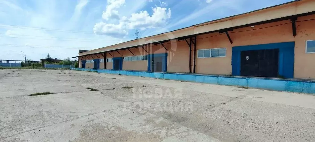 Склад в Омская область, Омск Красноярский тракт, 155 (1050 м) - Фото 1