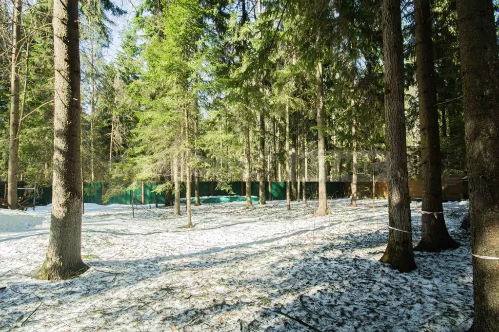 Участок в Москва д. Ожигово, Киевское СНТ, 12 (9.8 сот.) - Фото 2