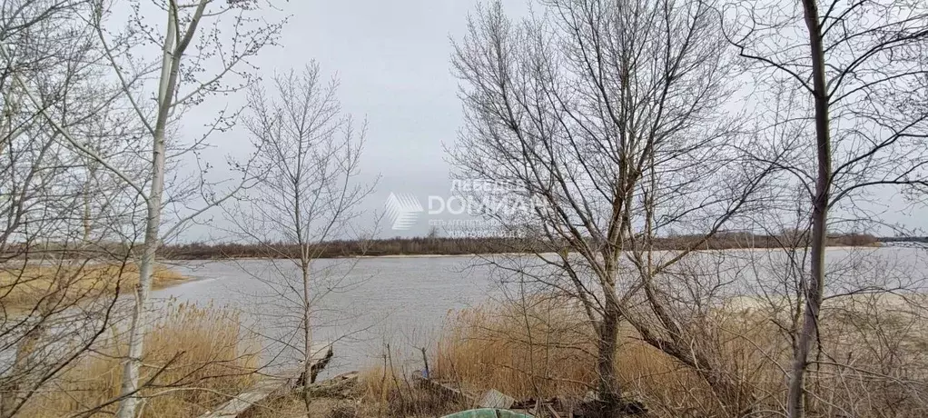 Участок в Ростовская область, Октябрьский район, Бессергеневское ... - Фото 1