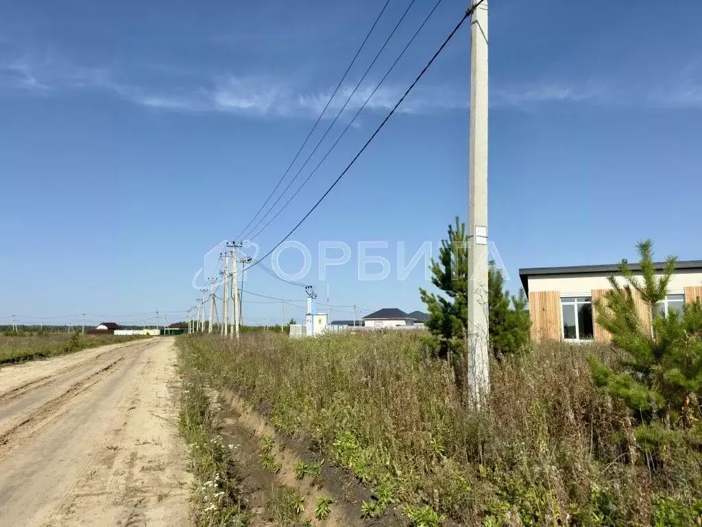 Участок в Тюменская область, Тюменский район, д. Елань, Московские ... - Фото 2