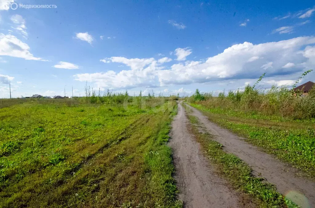 Участок в Заводоуковск, СОТ Колос (15 м) - Фото 2