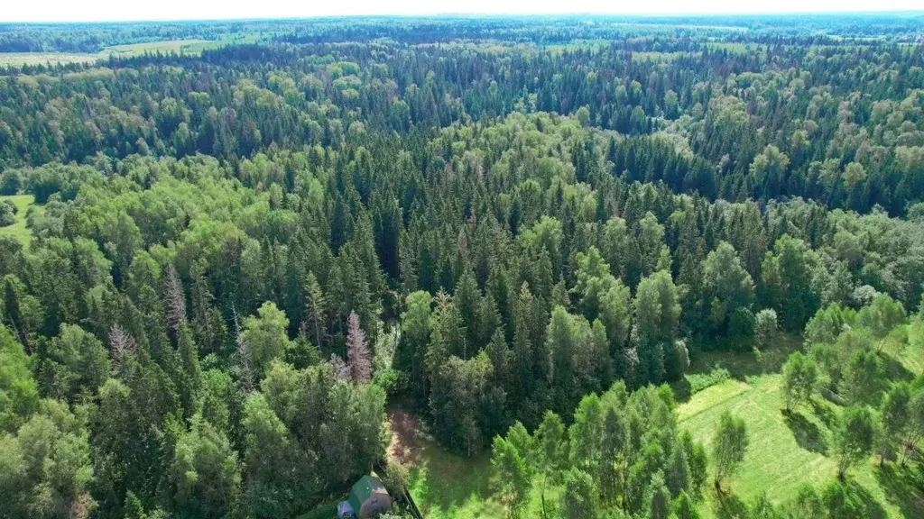 Участок в Московская область, Одинцовский городской округ, Рига лес кп ... - Фото 2