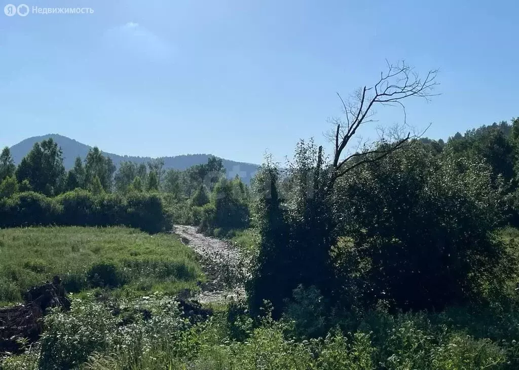 Участок в Чемальский район, Узнезинское сельское поселение, село ... - Фото 1
