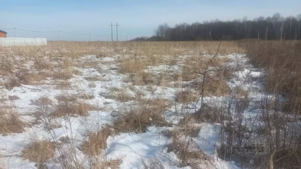 Участок в Тульская область, Тула городской округ, д. Дементеево, ... - Фото 2