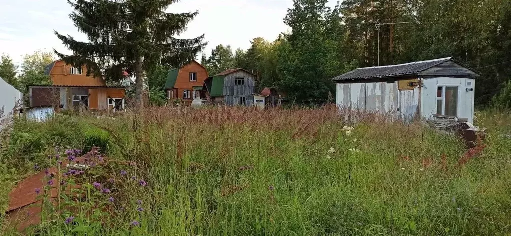 Участок в Ленинградская область, Тосненское городское поселение, ... - Фото 1