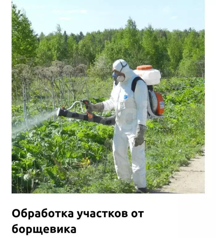 Участок в Пермский край, Добрянский муниципальный округ, деревня ... - Фото 2