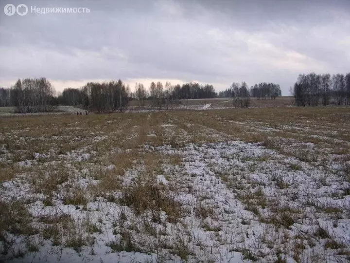 Участок в Московская область, городской округ Чехов, деревня Глуховка, ... - Фото 0