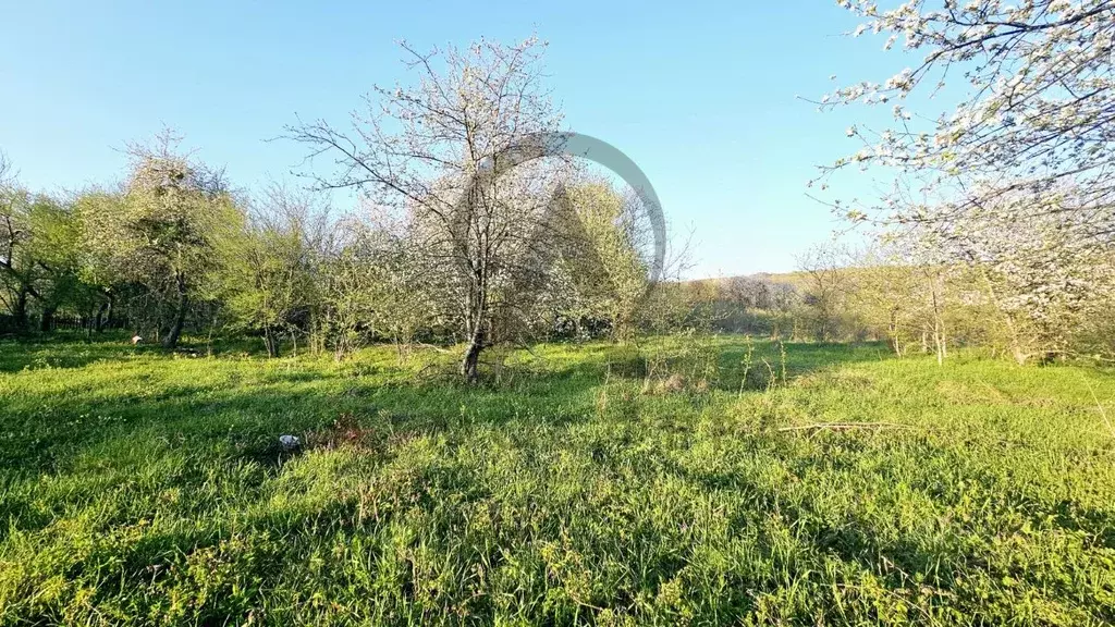 Участок в Краснодарский край, Апшеронский район, Нижегородское с/пос, ... - Фото 2