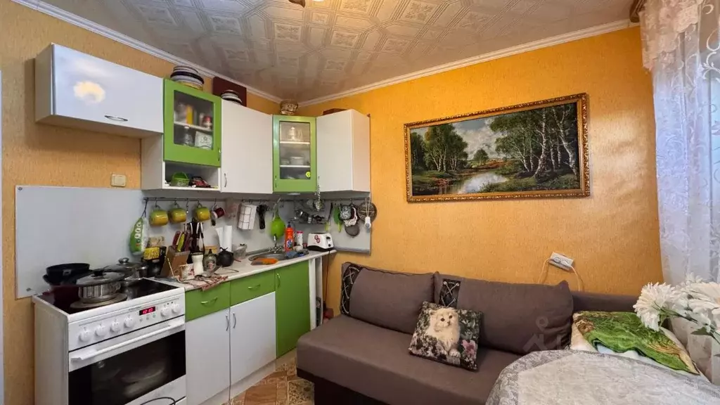 1-к кв. Коми, Сыктывкар Слободская ул., 2 (31.5 м) - Фото 1