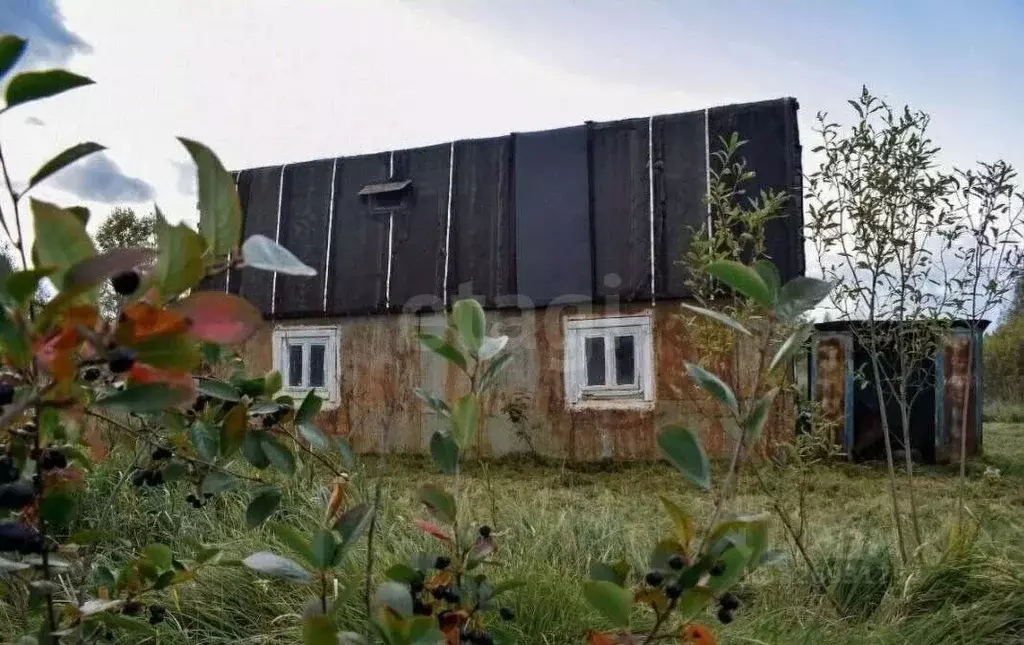 Участок в Ярославская область, Ярославский муниципальный округ, пос. ... - Фото 1