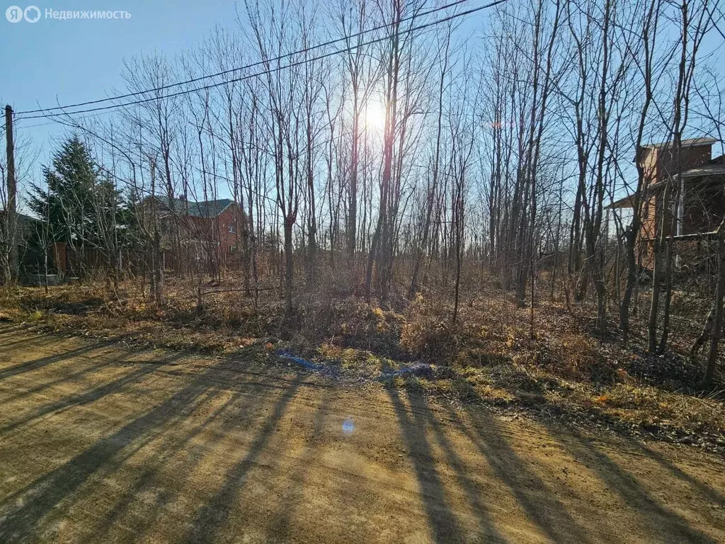 Участок в Артёмовский городской округ, село Ясное, Серебряная улица, ... - Фото 2