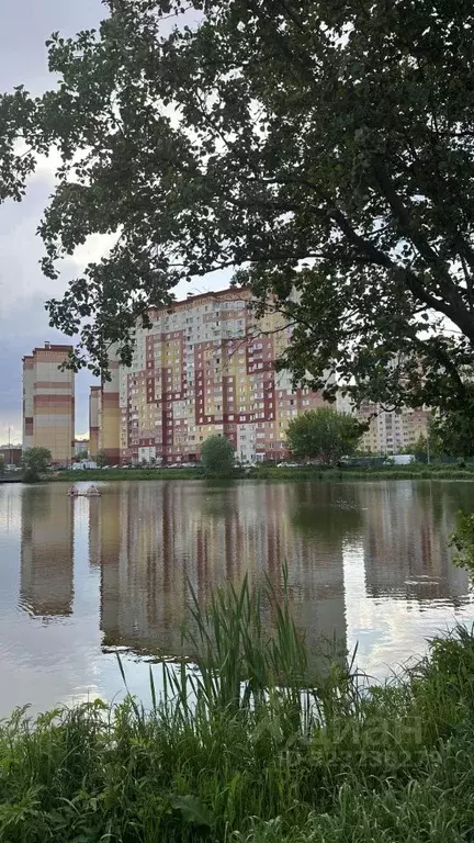 1-к кв. Московская область, Люберцы городской округ, д. Островцы, ... - Фото 1