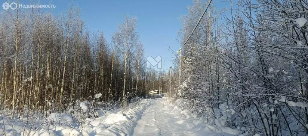 Участок в Рахьинское городское поселение, СНТ Ладожское (10.016 м) - Фото 1