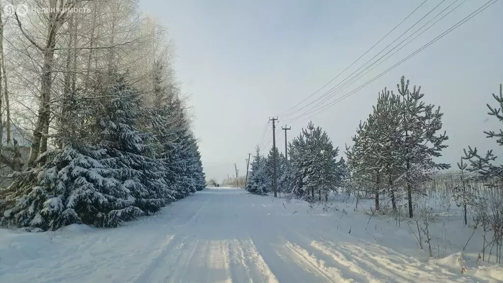 Участок в деревня Старосиверская, Новая улица (8 м) - Фото 1