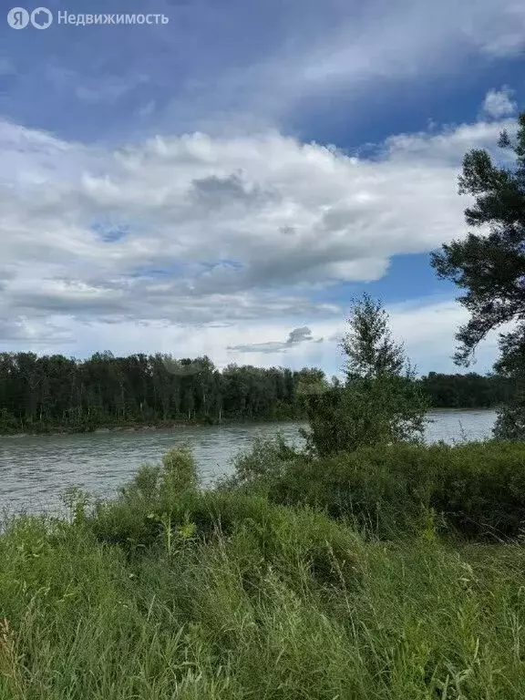 Участок в Майминский район, село Подгорное, Школьная улица (15.3 м) - Фото 2