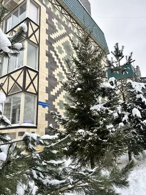 1-к кв. Московская область, Одинцовский городской округ, д. Солманово, ... - Фото 2