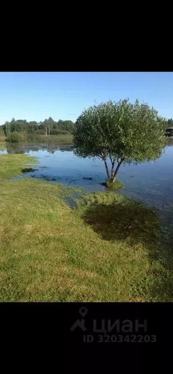 Участок в Псковская область, Гдовский район, Черневская волость, д. ... - Фото 2