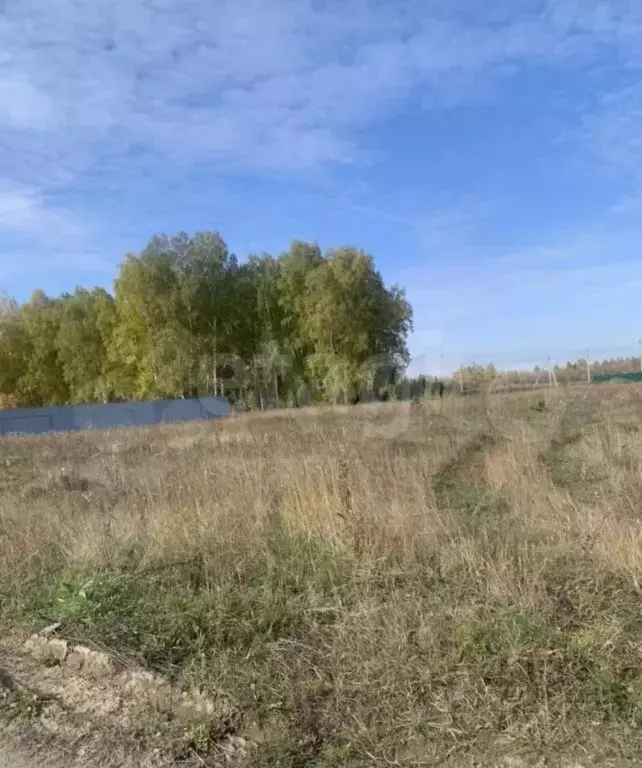 Участок в Омская область, Омский район, с. Надеждино, Березовый Стан ... - Фото 1