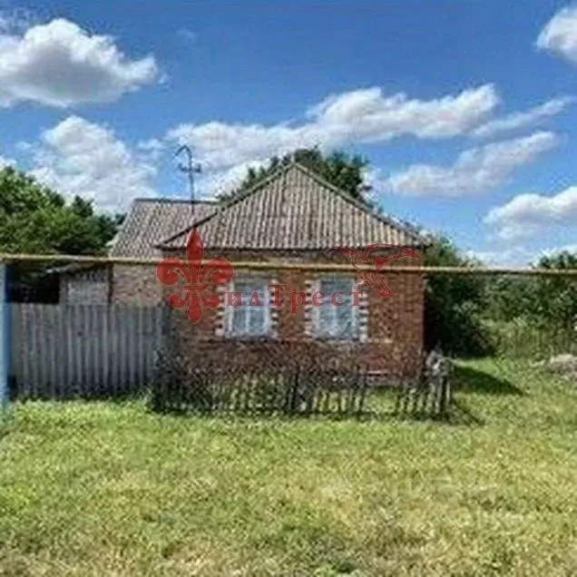 Участок в Белгородская область, Белгородский район, Хохловское с/пос, ... - Фото 2