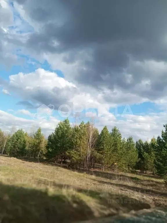 Участок в Тюменская область, Тюменский район, Новокаменский кп ул. ... - Фото 1