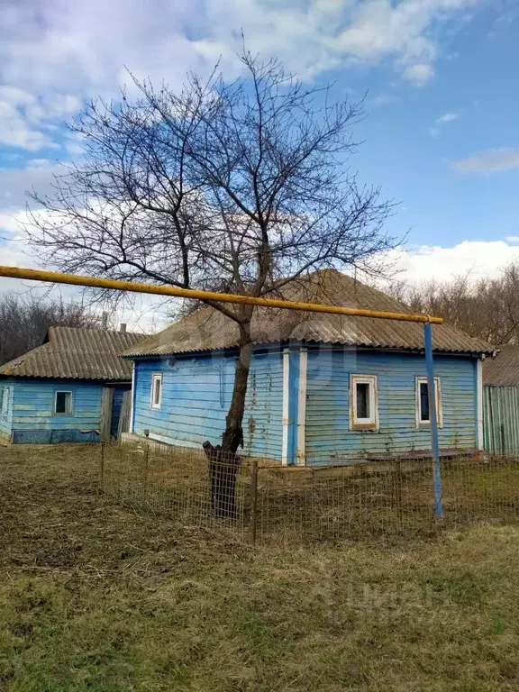 Дом в Белгородская область, Коротковское с/пос, с. Короткое ул. ... - Фото 1