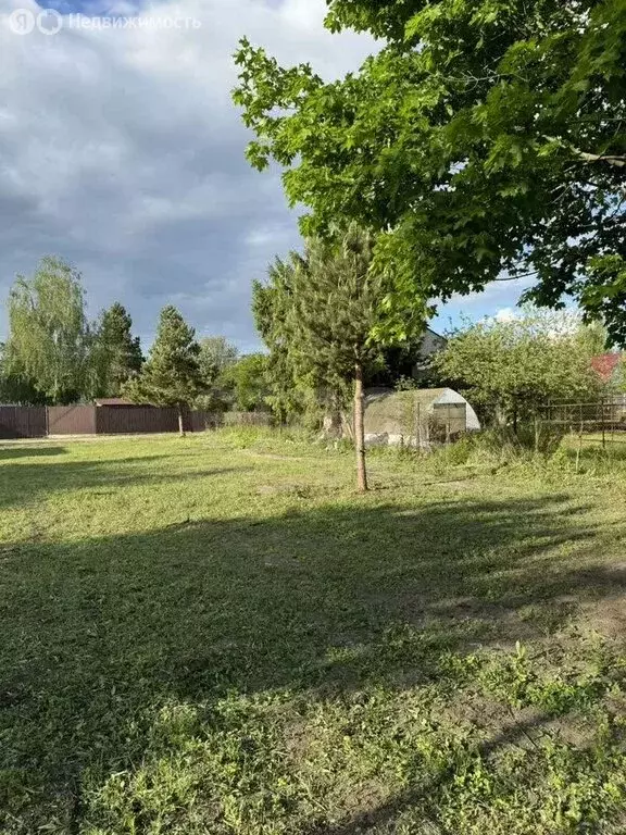 Участок в Рамонский район, Айдаровское сельское поселение, СНТ ... - Фото 2