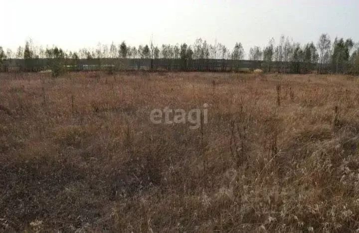 Участок в Свердловская область, Горноуральский городской округ, с. ... - Фото 0