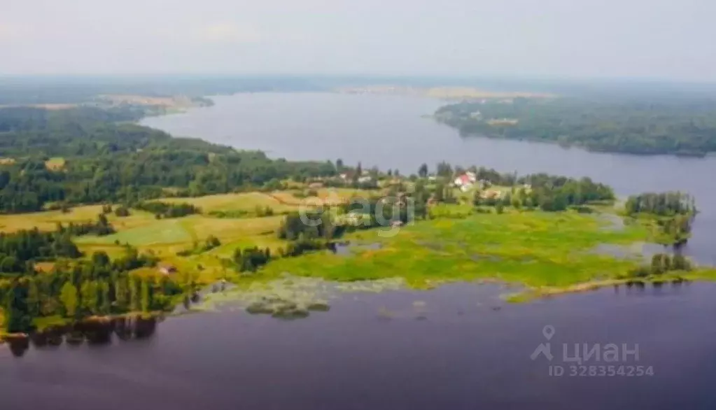 Участок в Тверская область, Осташковский муниципальный округ, д. ... - Фото 1