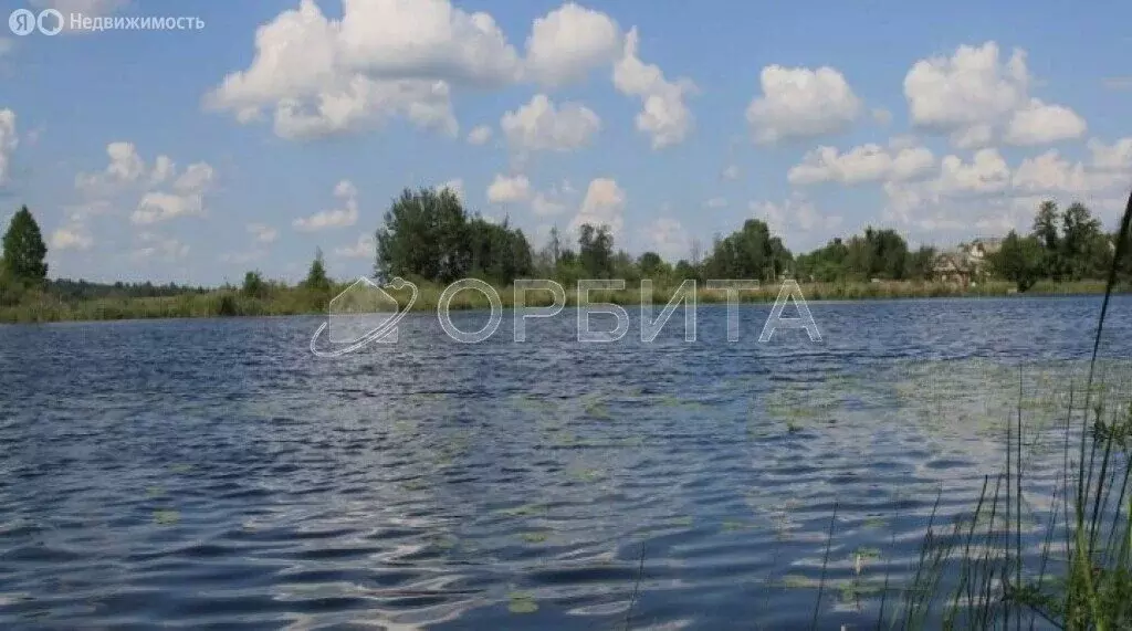 Участок в Великолукский район, Пореченская волость (200 м) - Фото 1