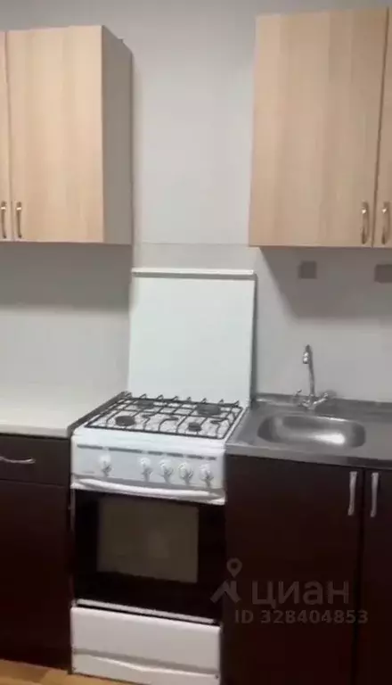 1-к кв. Пензенская область, Пензенский район, Засечный сельсовет, с. ... - Фото 1