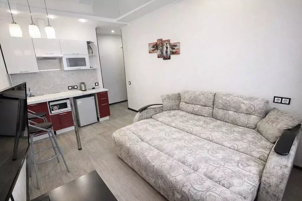 Студия Амурская область, Благовещенск Пионерская ул., 96 (25.0 м) - Фото 2
