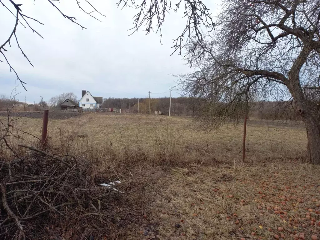 Участок в Орловская область, Орловский район, д. Малая Булгакова ул. ... - Фото 2