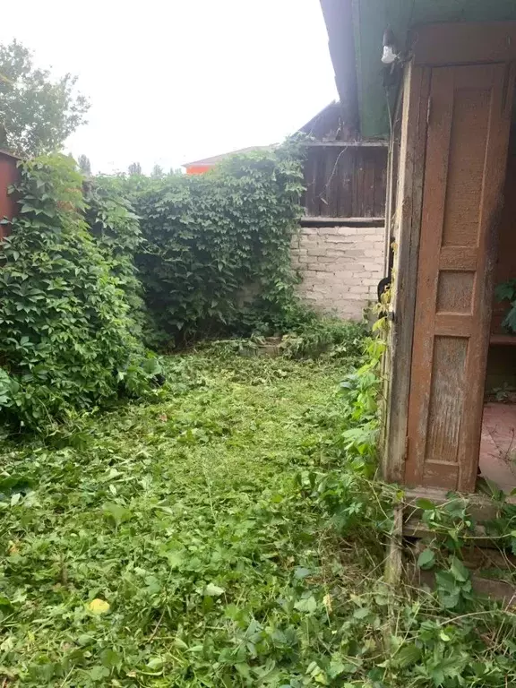 Дом в Липецкая область, Чаплыгин ул. Ломоносова, 108 (48 м) - Фото 1