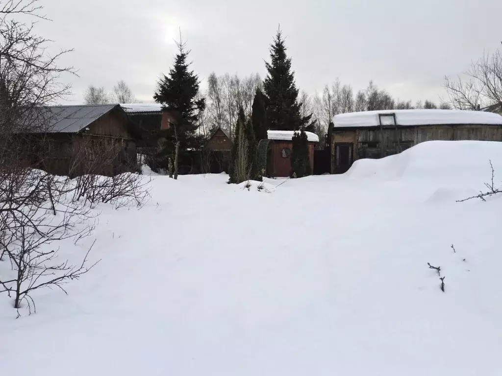 Участок в Московская область, Богородский городской округ, Жаворонок ... - Фото 1