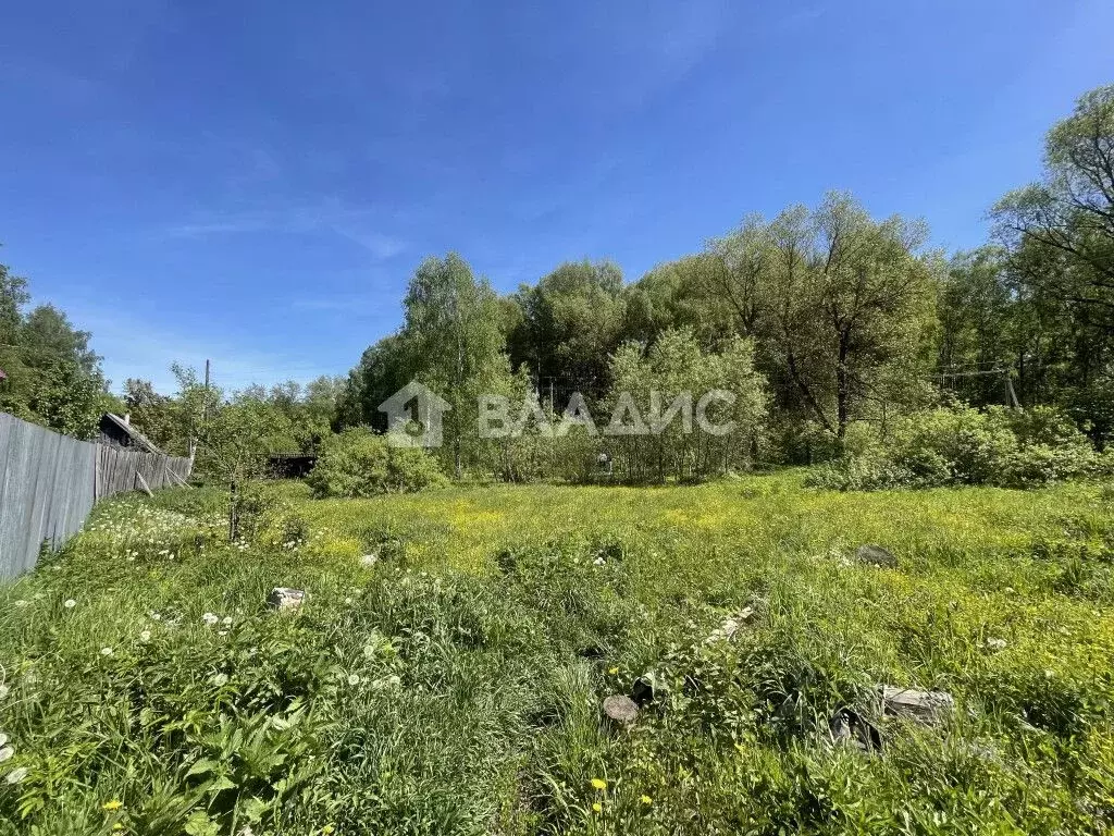 Участок в Владимирская область, Судогда Парковая ул. (10.0 сот.) - Фото 1