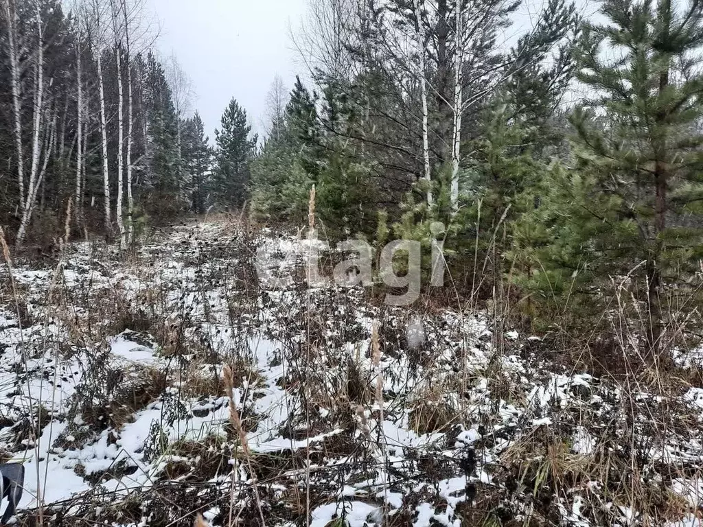 Участок в Красноярский край, Красноярск городской округ, пос. Минино ... - Фото 1