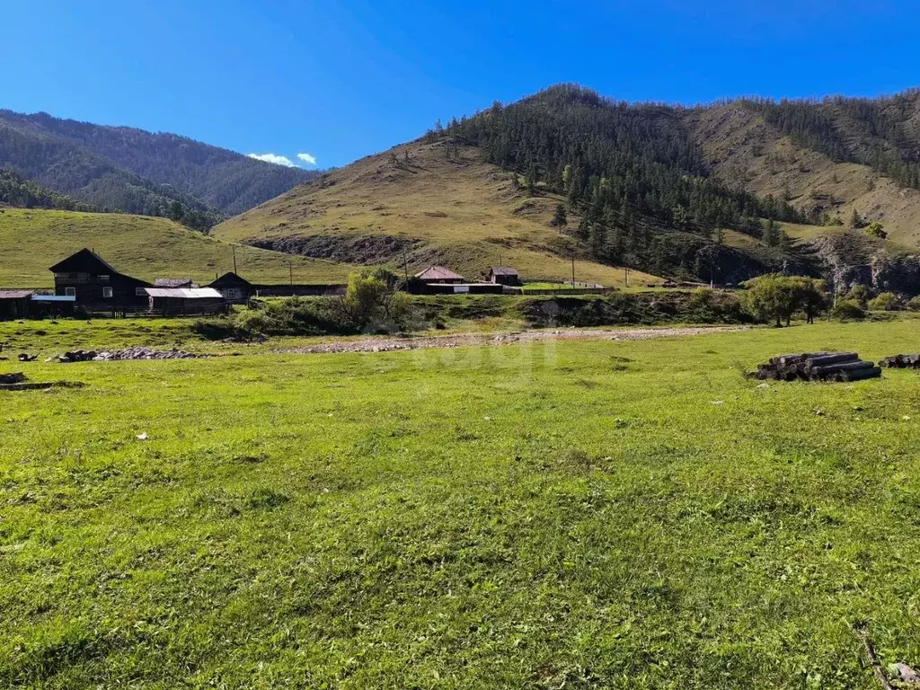 Участок в Алтай, Онгудайский район, с. Хабаровка Северная ул. (15.0 ... - Фото 1