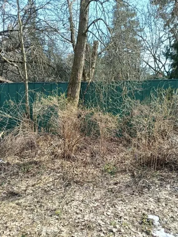 Участок в посёлок городского типа Малаховка, Лесная улица (10 м) - Фото 1