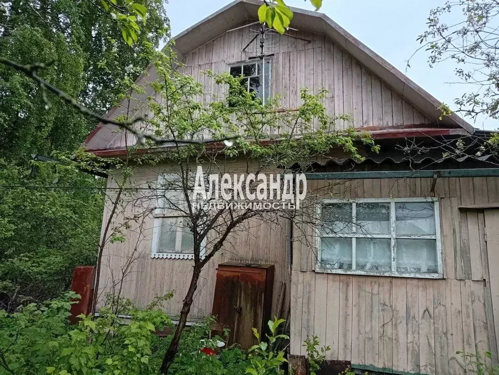 Участок в Ленинградская область, Кировский район, Синявинское ... - Фото 1