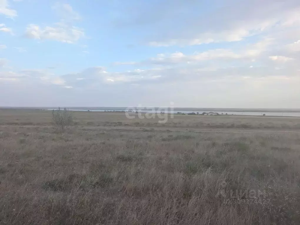 Участок в Крым, Черноморский район, с. Межводное ул. Миндальная, 27 ... - Фото 0