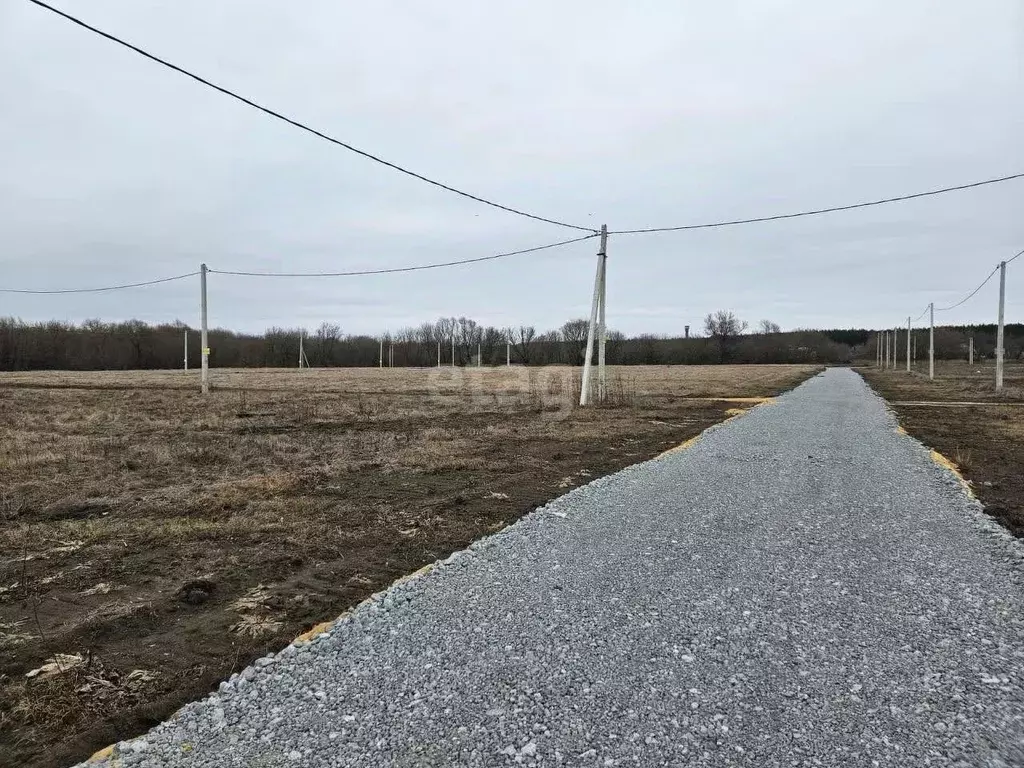 Участок в Воронежская область, Хохольский район, Новогремяченское ... - Фото 0