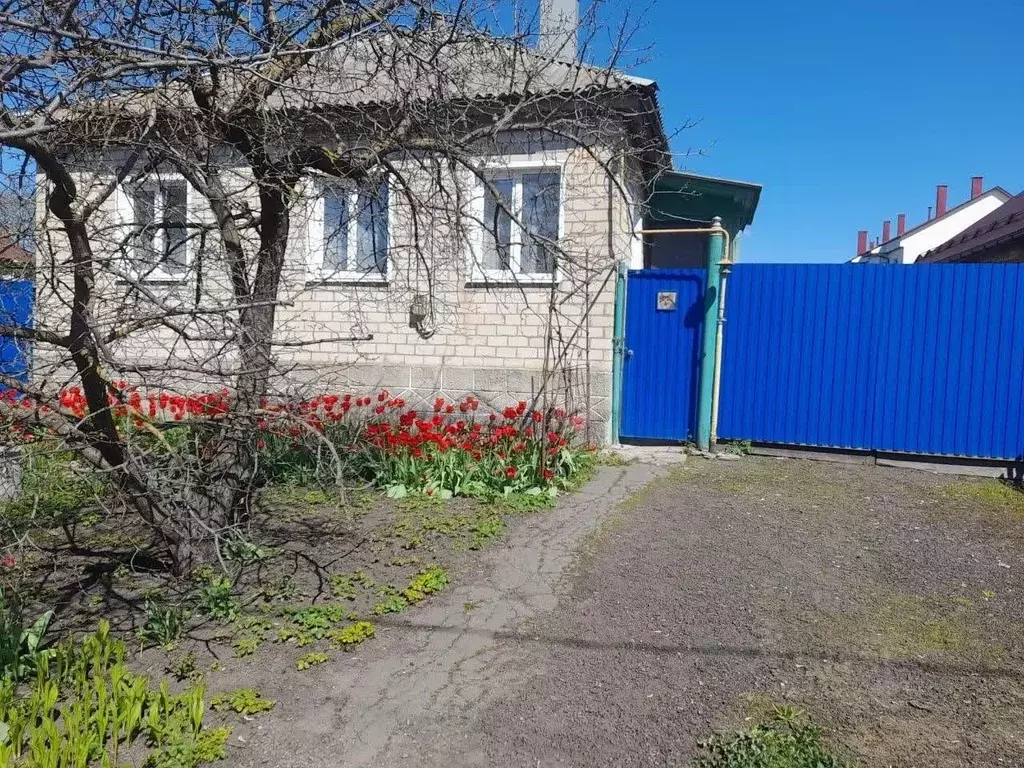Дом в Воронежская область, Анна пгт ул. Красноармейская, 107 (58 м) - Фото 1