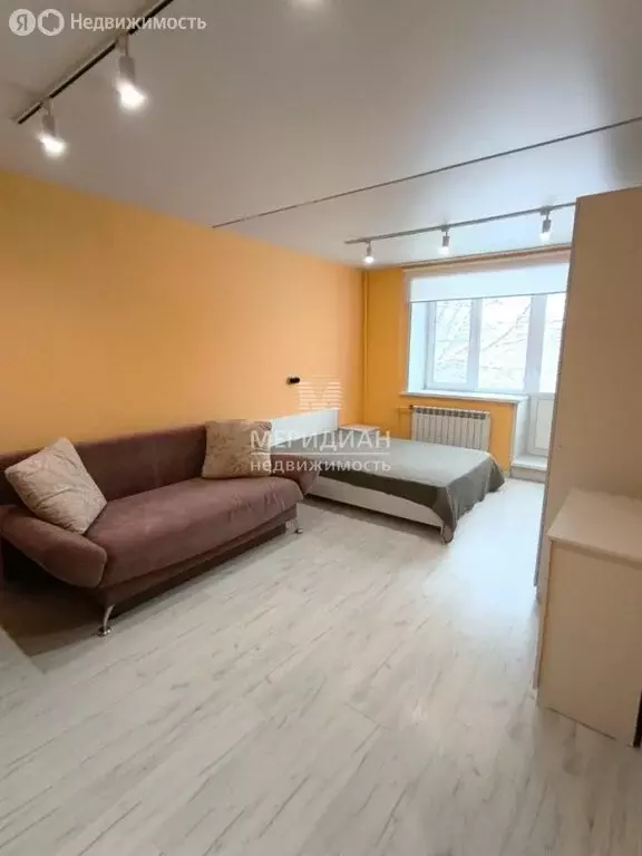 1-комнатная квартира: Нижний Новгород, улица Белинского, 89 (29.8 м) - Фото 2