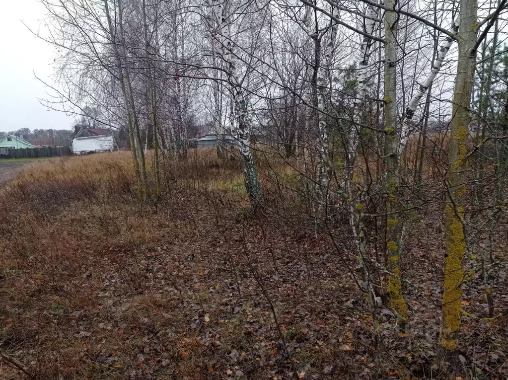 Участок в Московская область, Орехово-Зуевский городской округ, д. ... - Фото 1