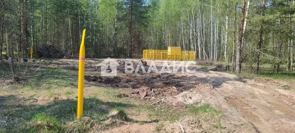 Участок в Владимирская область, Владимир Лунево мкр, ул. Луневская ... - Фото 1