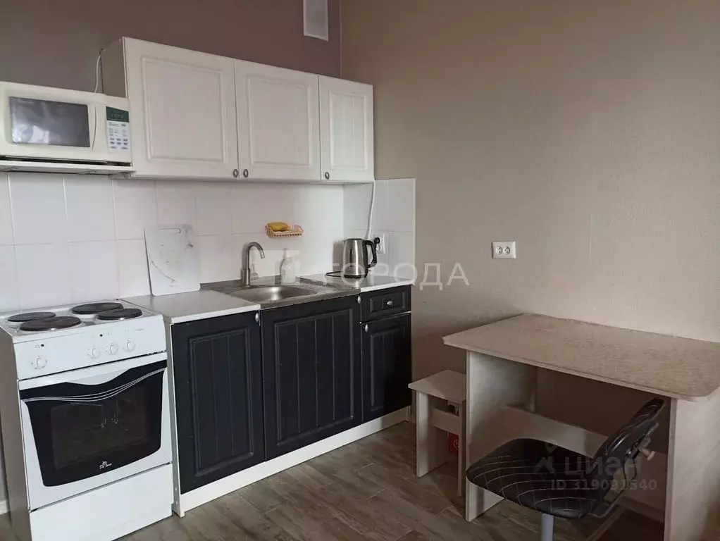 Студия Новосибирская область, Новосибирск Рябиновая ул., 10/1 (25.0 м) - Фото 0