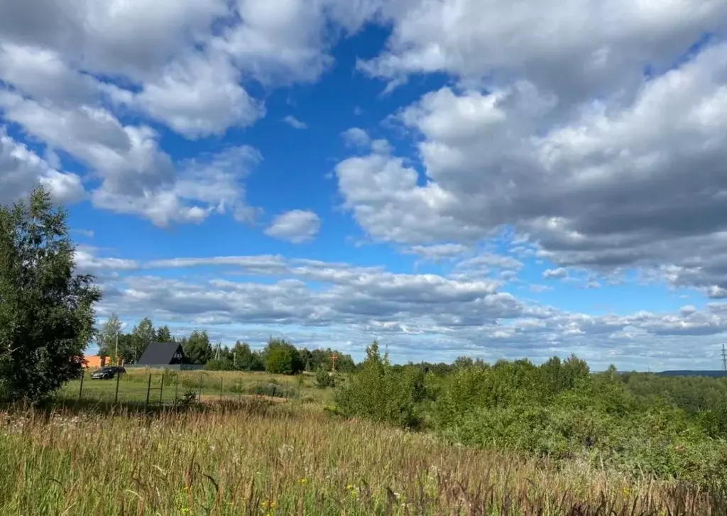 Участок в Нижегородская область, Богородский муниципальный округ, с. ... - Фото 0